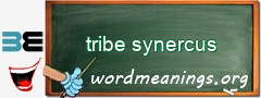 WordMeaning blackboard for tribe synercus
